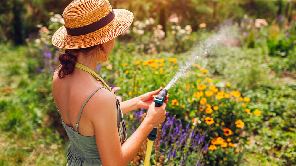 Žena zalévající zahradu_02