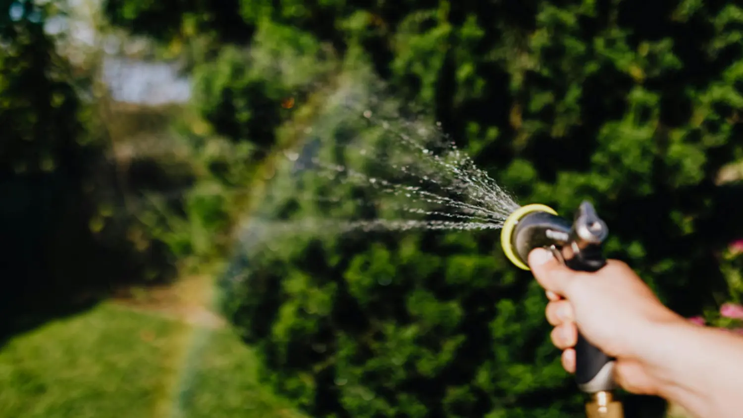 Ruka drž&iacute; hadicu a polieva z&aacute;hradu