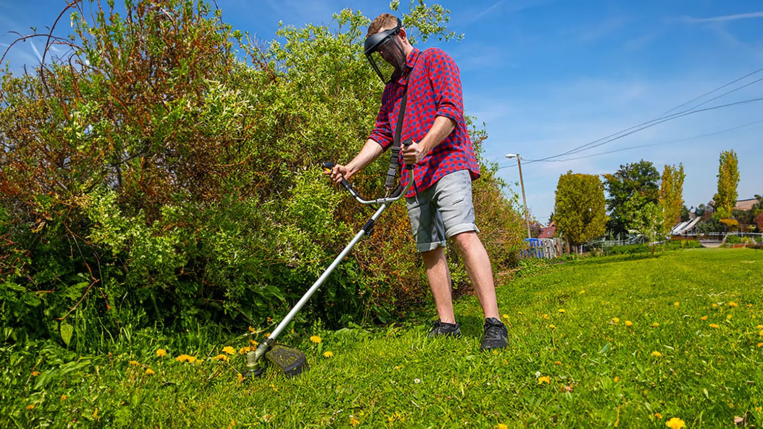 Muž sek&aacute; tr&aacute;vu s krovinorezom Fieldmann FZS 70725-0