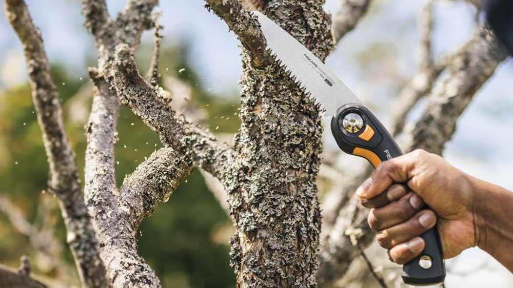 Řezání větve se skládací pilkou Fiskars Plus SW68_02