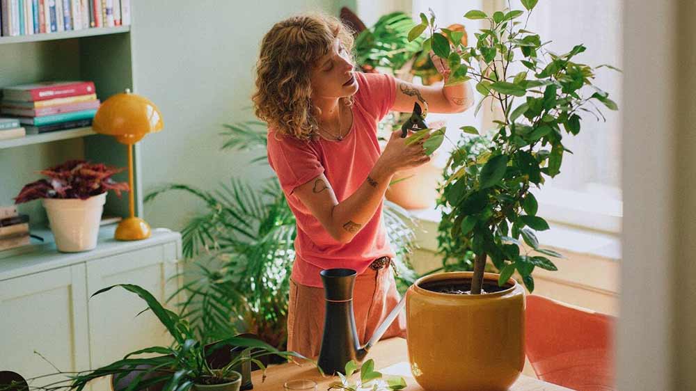 Žena stř&iacute;h&aacute; rostlinu zahradn&iacute;mi nůžkami ze sady Fiskars Plant Care 1075317 _02