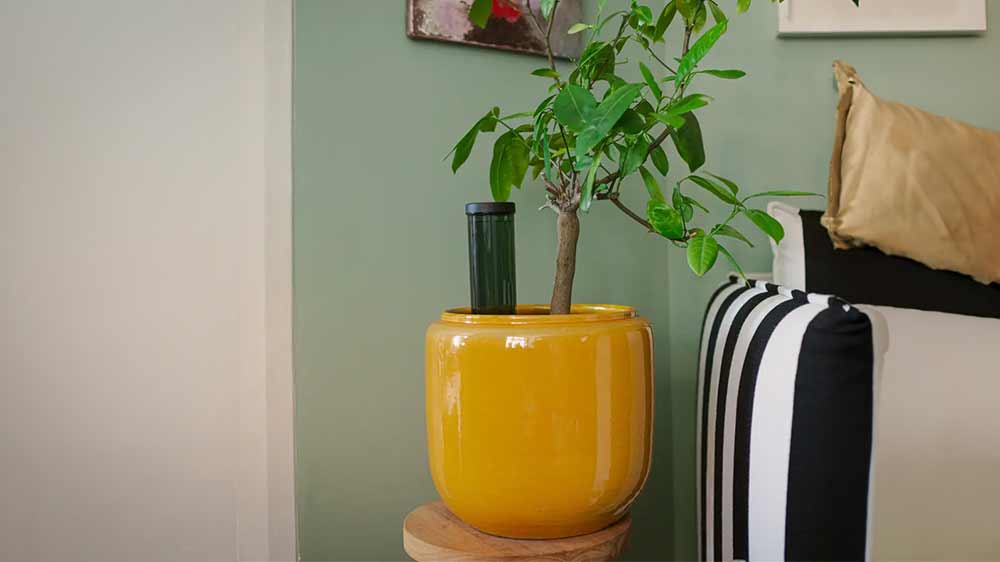 Zavlažovací hrot Fiskars zapíchnutý v rostlině v květináči_02