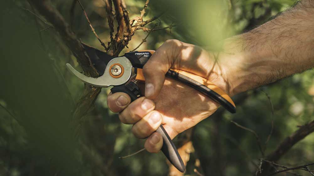 Stříhání keřů se zahradními nůžkami Fiskars P341 L Solid_02