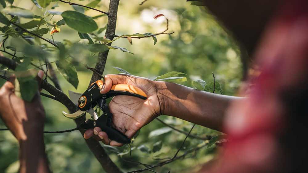 Stříhání keře zahradními nůžkami Fiskars P721_02