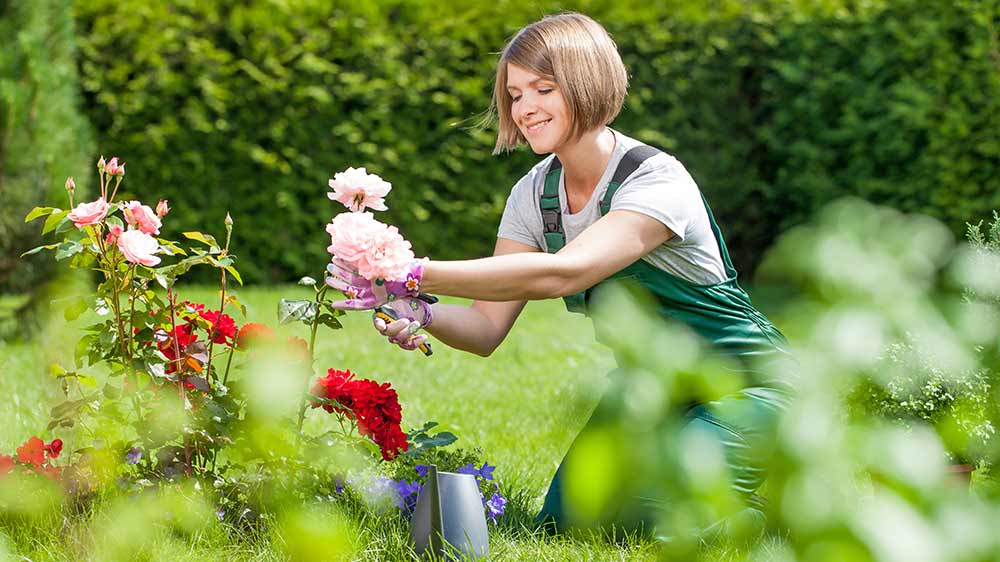 Žena s úsměvem zastřihuje květinový keř zahradními nůžkami a vedle sebe má další zahradnické vybavení_03