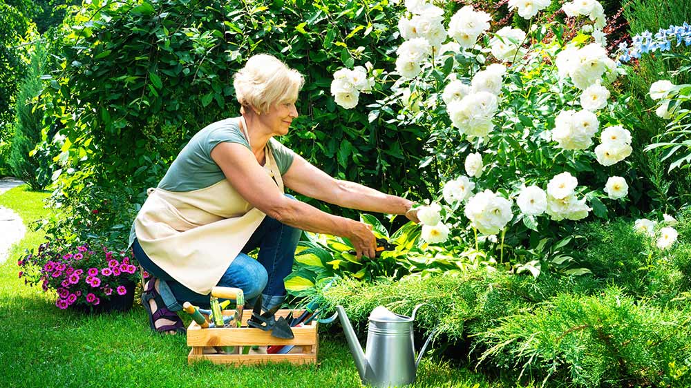 Usmívající se mladá žena zastřihuje na zahradě stonky květin zahradními nůžkami_04