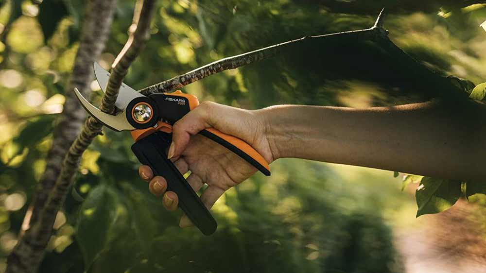 Stříhání větví stromu dvoučepelovými zahradními nůžkami Fiskars L PowerGear X-series (P961)_02