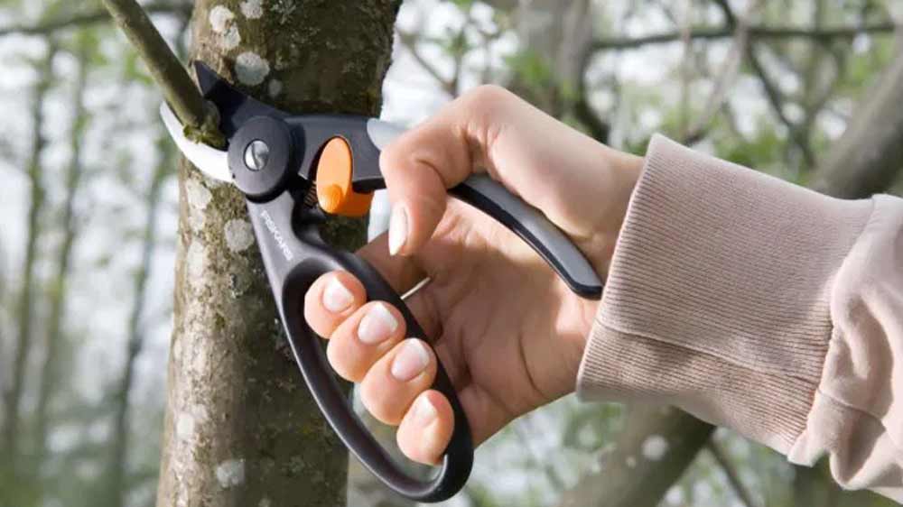 Stříhání větvičky stromu dvoučepelovými zahradními nůžkami Fiskars FingerLoop P44 _03