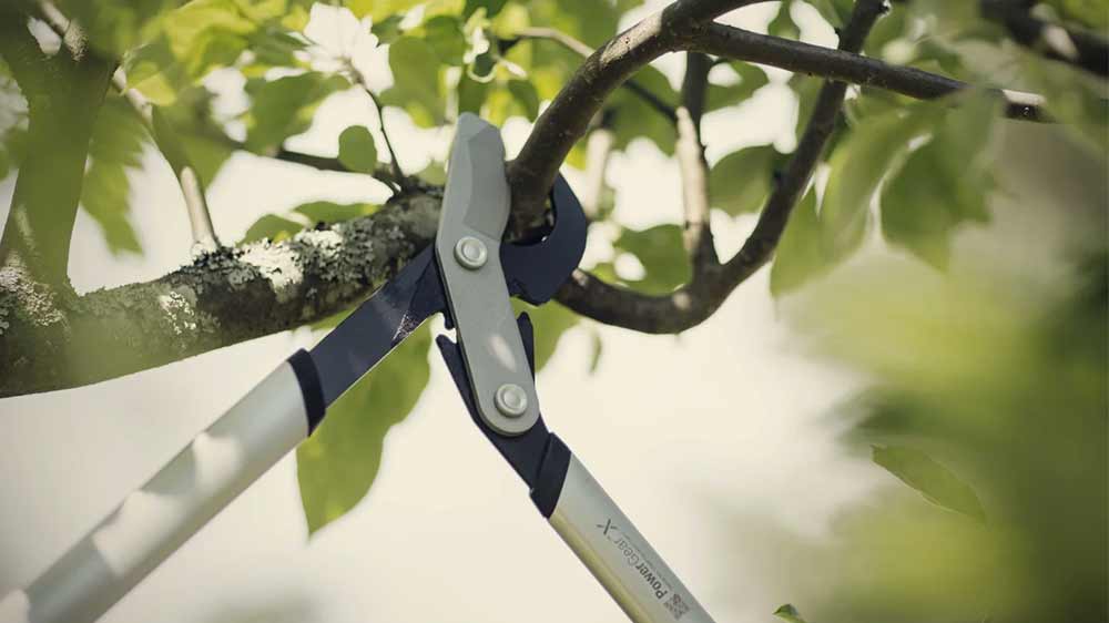 Stříhání větví stromu dvoučepelovými nůžkami Fiskars PowerGear X (M) LX94_02