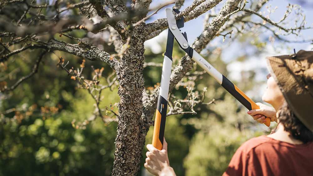 Žena zkracuje větve stromu dvoučepelovými nůžkami Fiskars PowerGear X (M) LX94_03