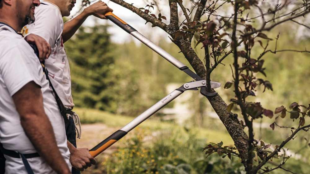 Stříhání drobnější větve stromu dvoučepelovými nůžkami Fiskars PowerGear X (L) LX98_02