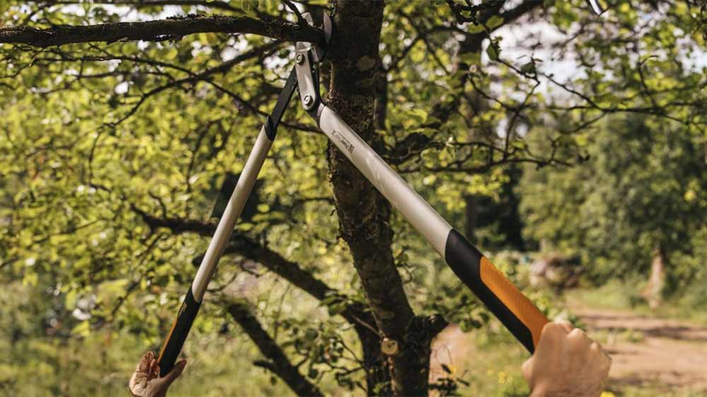 Stříhání větve stromu ve výšce těsně u kmene dvoučepelovými nůžkami Fiskars PowerGear X (L) LX98_03