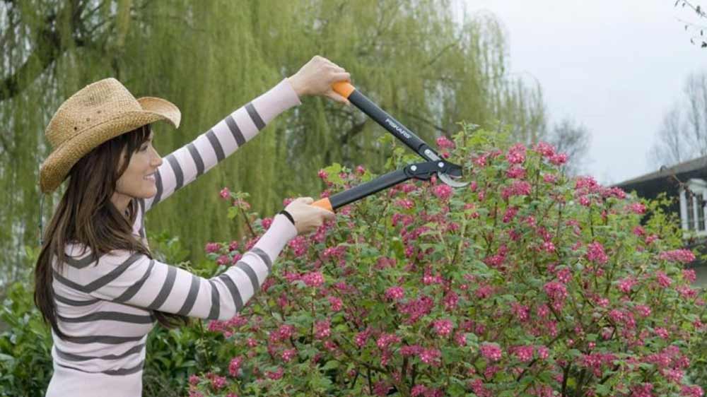 Žena stříhající keř nůžkami Fiskars PowerGear L70_02