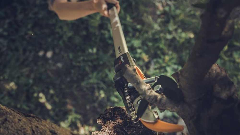 Ruce držící zahradní nůžky Fiskars PowerGear X UPX82 v koruně stromu a chystající se odstřihnout větev_02
