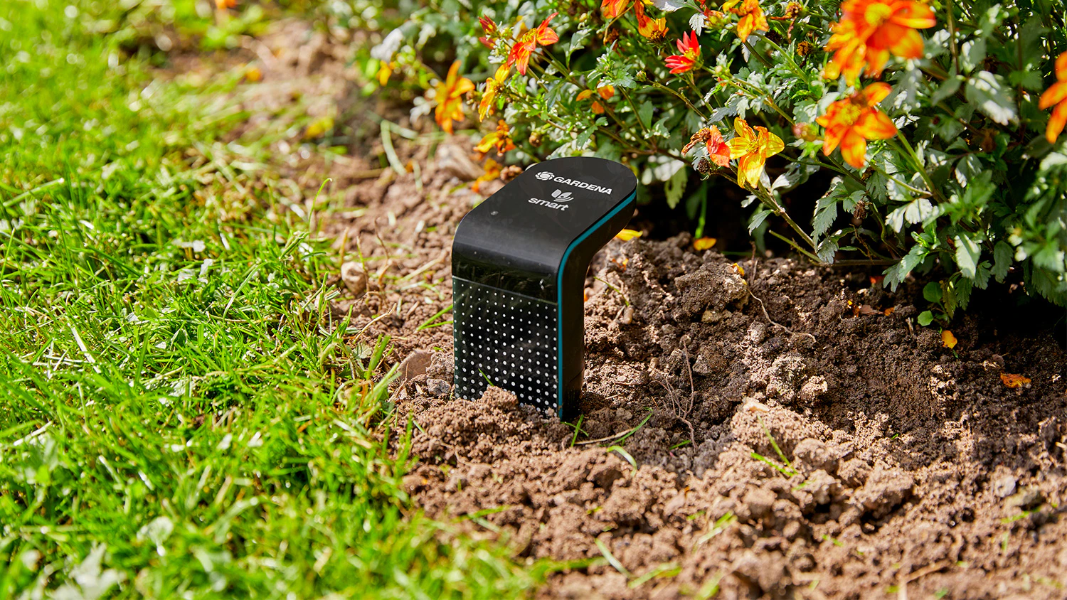 Smart senzor GARDENA v záhone