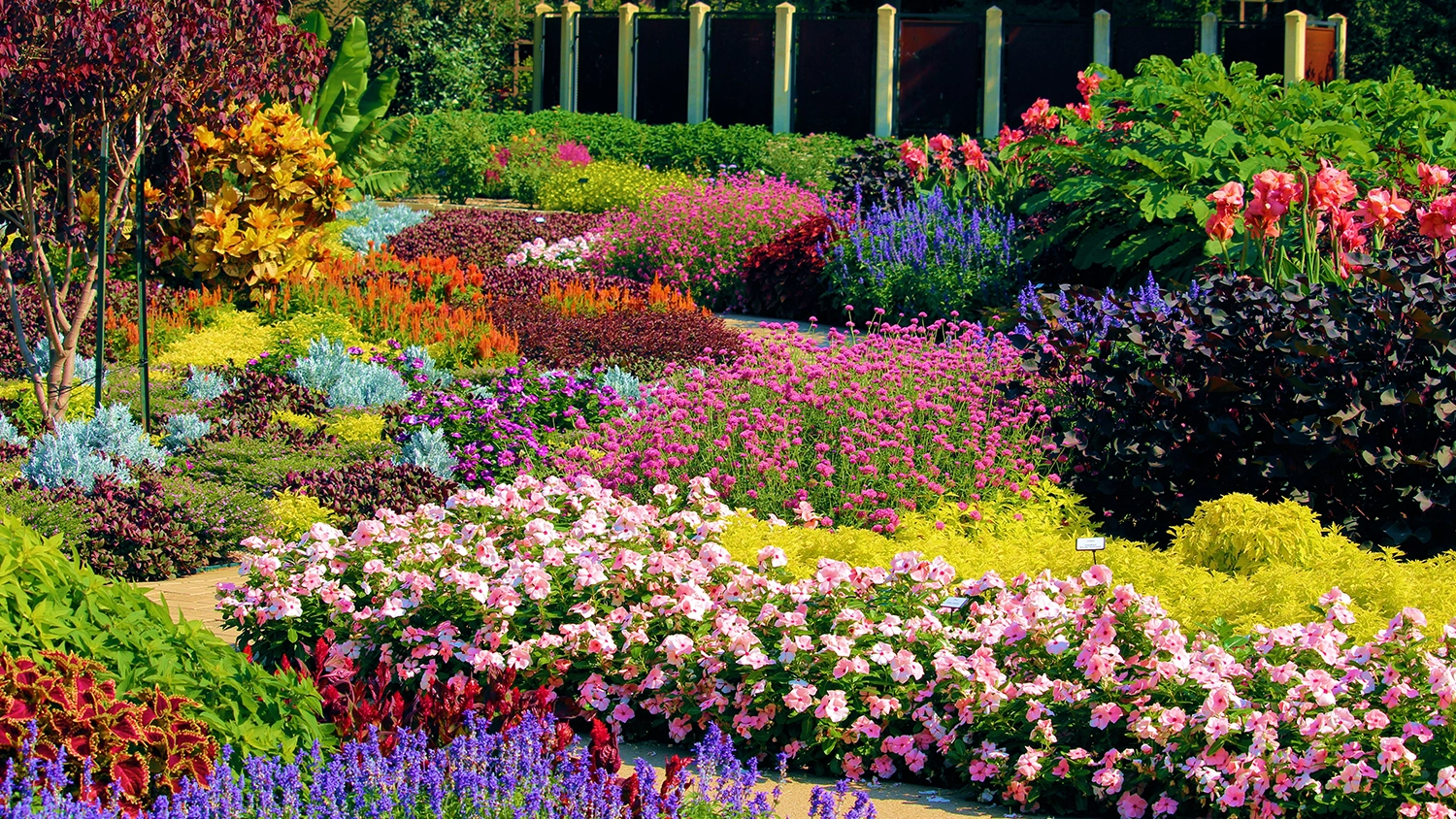 Kvetouc&iacute; zahrada