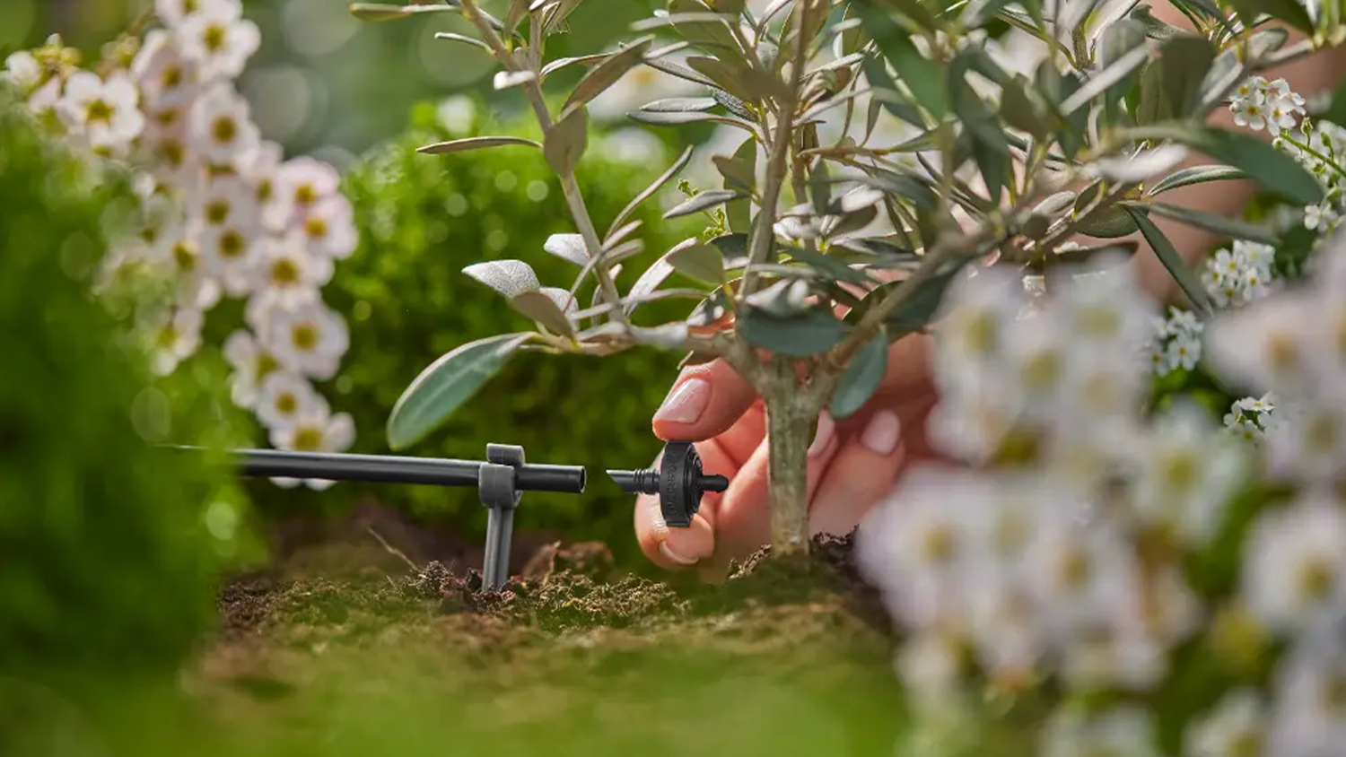Koncový kvapkač Gardena v záhone s kvetmi