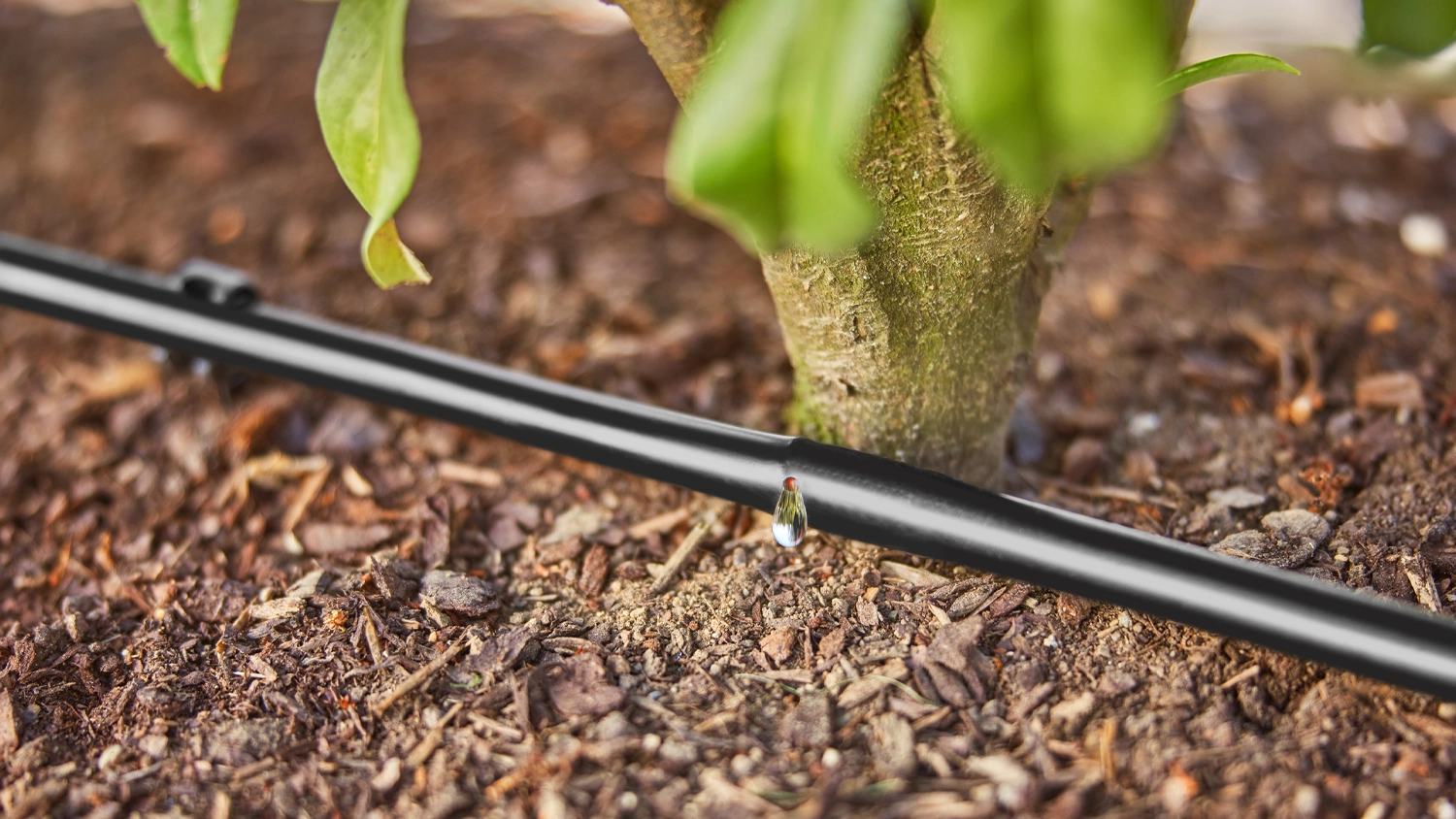 Micro-Drip syst&eacute;m GARDENA u keře