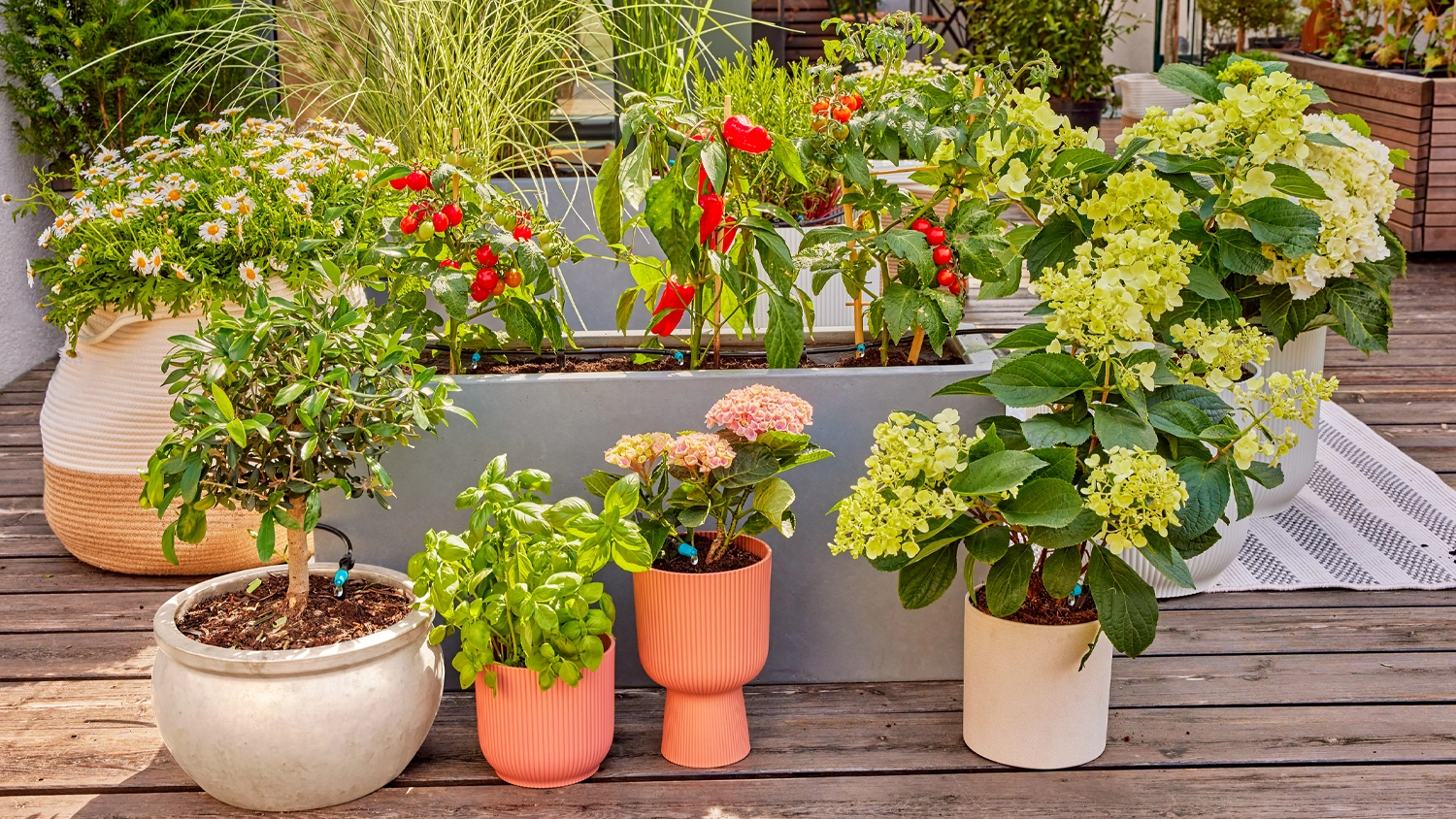 Micro-Drip sada GARDENA v květináčích na terase