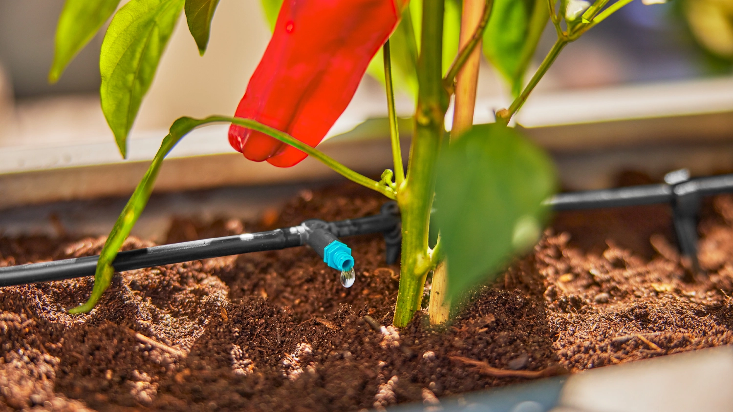 Micro-Drip sada GARDENA – detail zavlažování