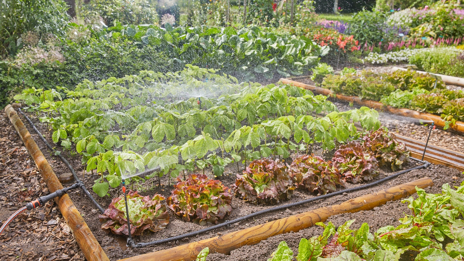 Záhonky s instalovanou Micro-Drip zavlažovací sadou GARDENA