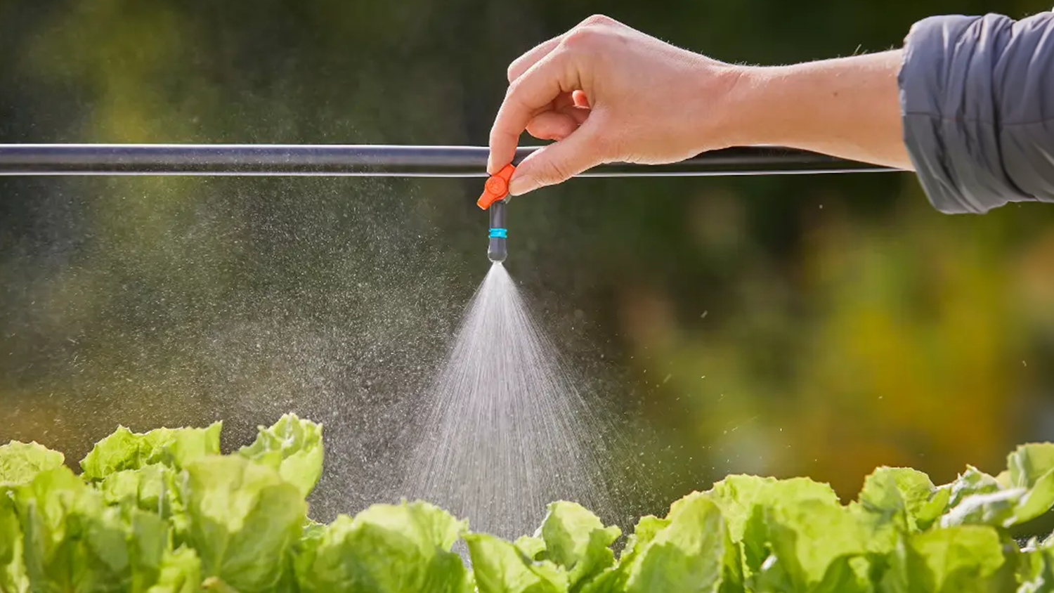 Mikro hmlová tryska Gardena MDS inštalovaná v záhone so šalátmi