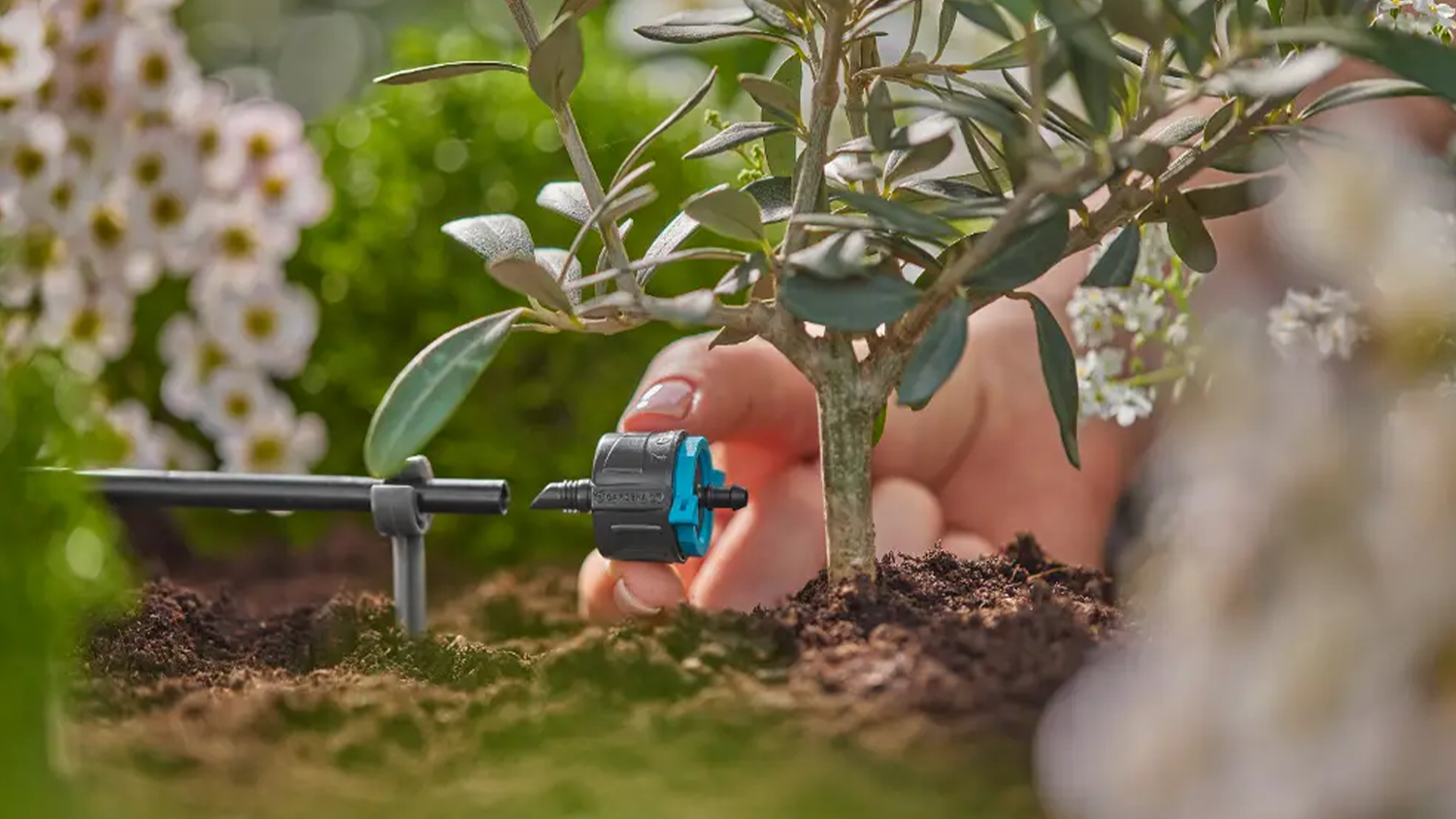 Koncový regulačný kvapkač Gardena v záhone pri kvete