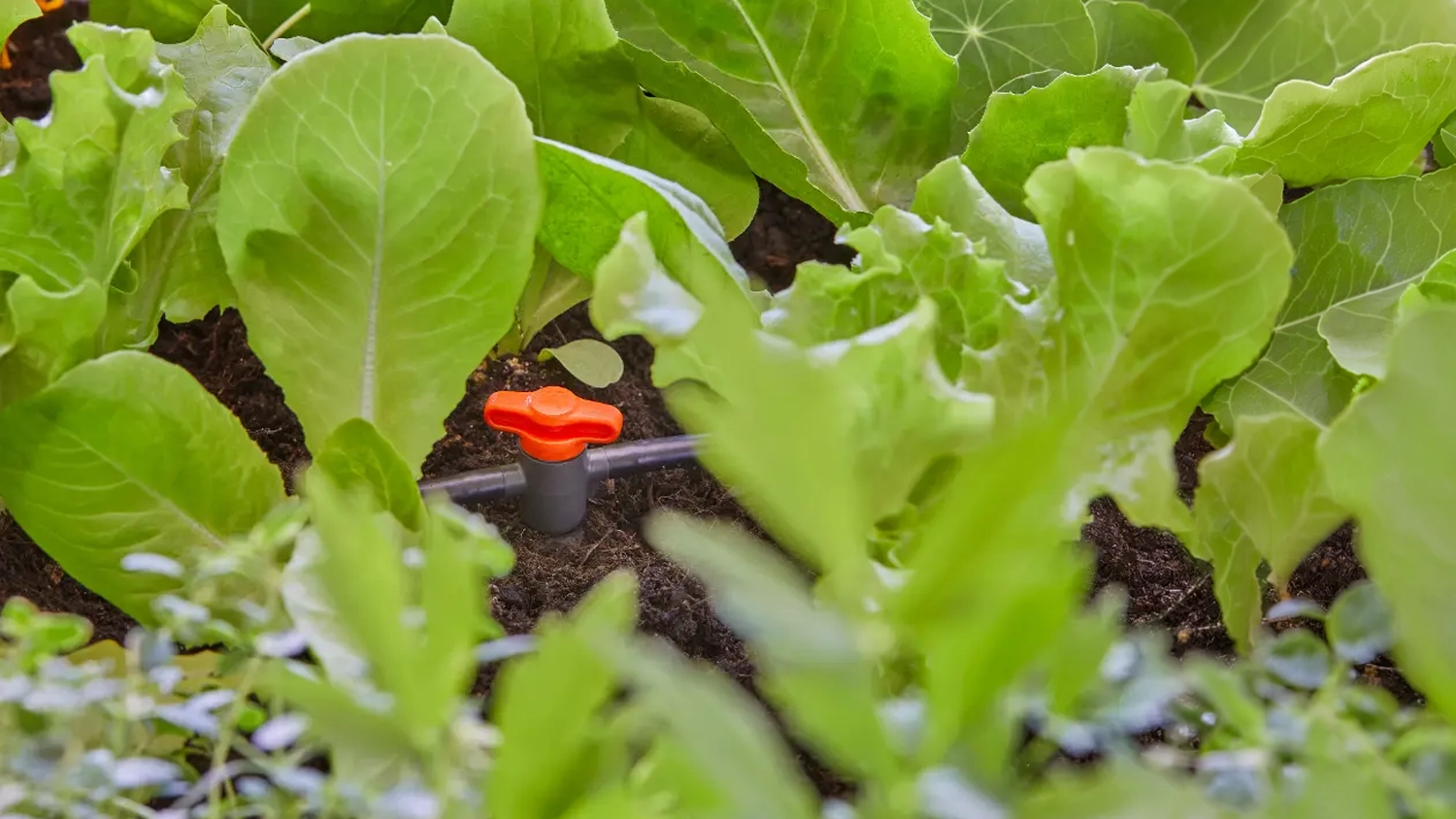 Zapojenie regulačného a uzáverového ventilu GARDENA