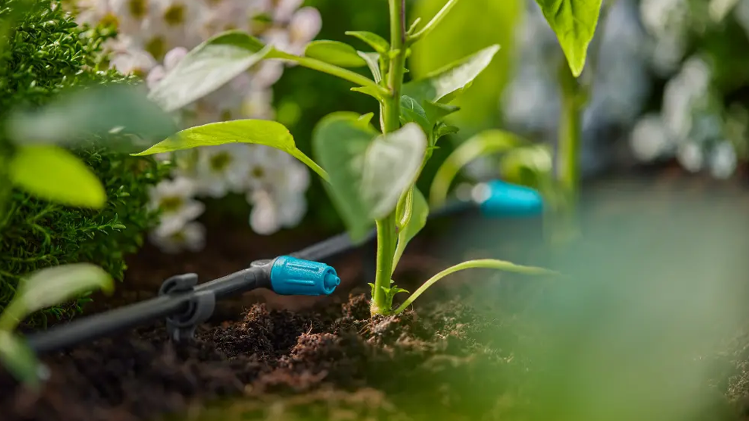 Řadov&yacute; kapač Gardena s regulovateln&yacute;m průtokem vody MD v zhonu květin