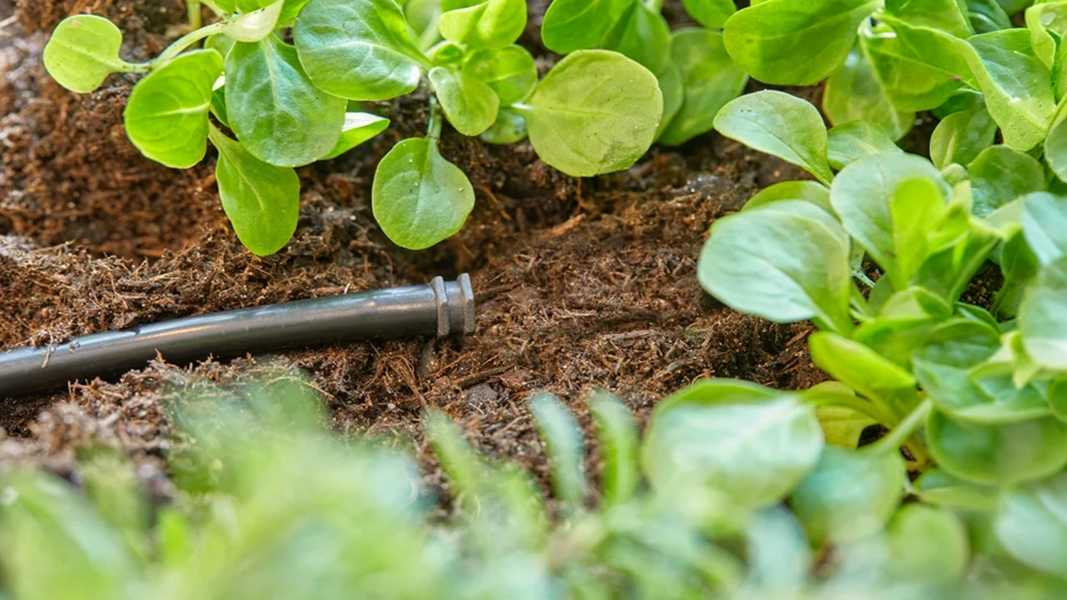 Inštalácia zátky GARDENA 4,6 mm (3/16)