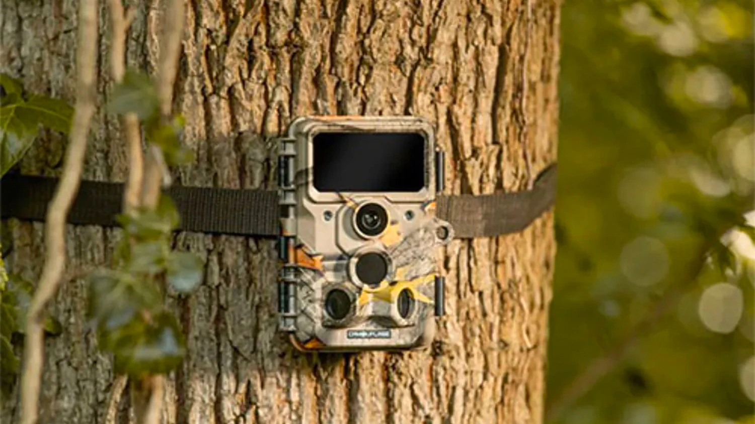 Fotopast Camouflage upevněná na kmeni stromu
