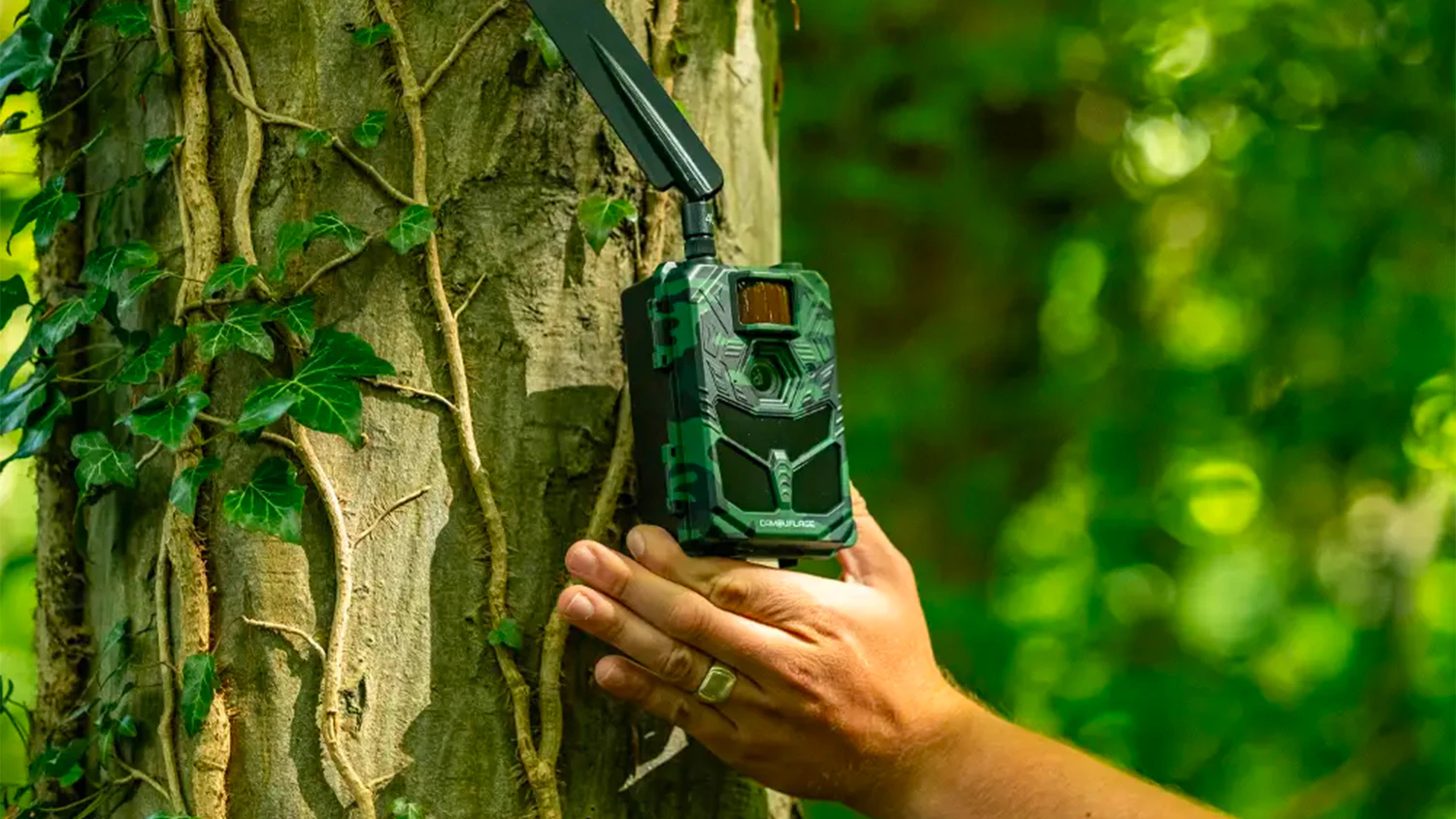 Osoba upevňující fotopast Camouflage na strom