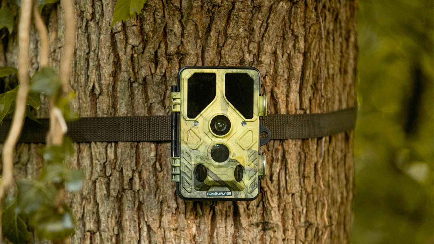 Fotopast Camouflage EZ45 připevněná na stromě