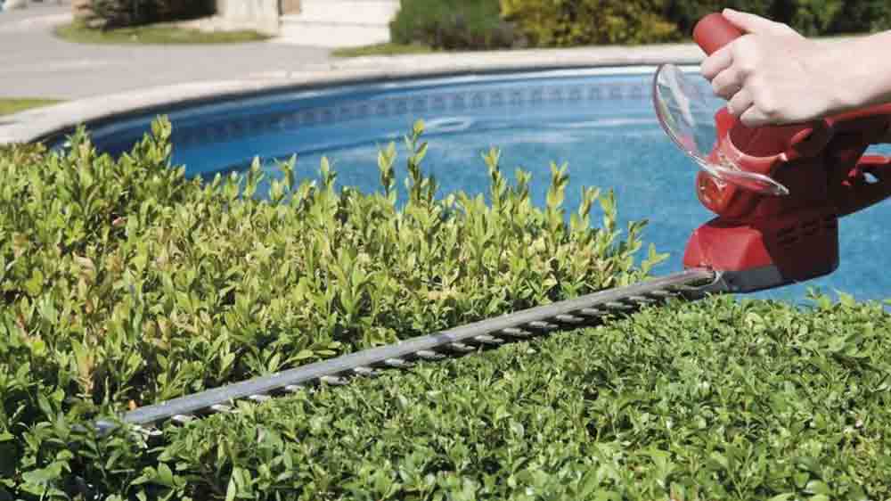 Křovinořez upravuje živý plot_03