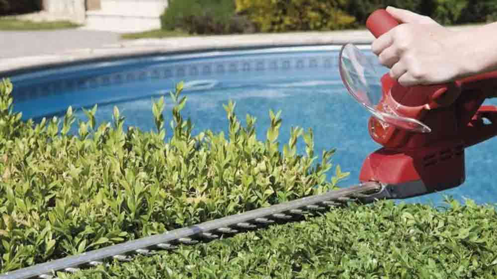 Křovinořez s keřem na zahradě_02