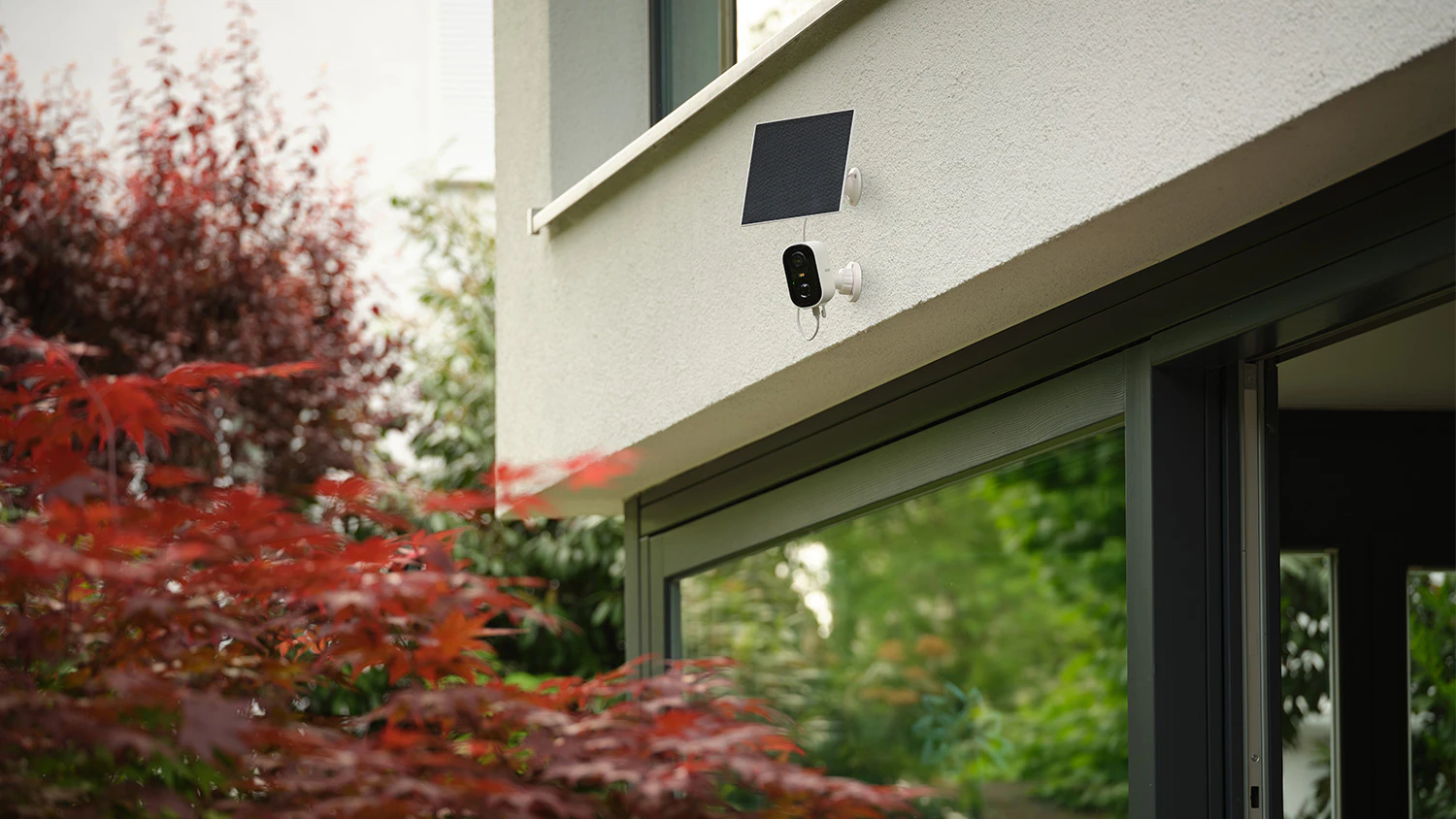 Smart IP kamera