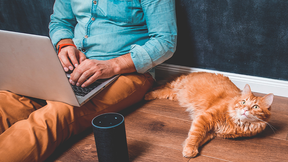 Siri, zapni svetlá!_06