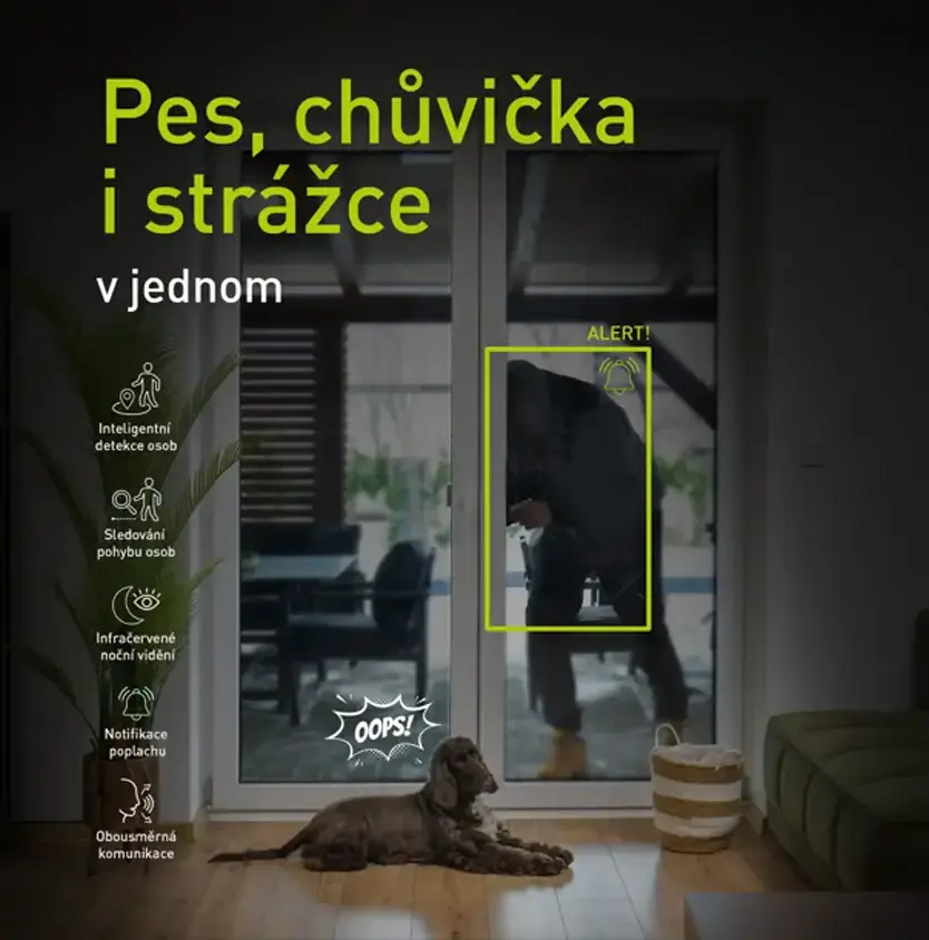 Kamera, hl&iacute;dac&iacute; pes i chůvička