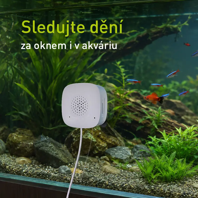 Kamera umístěná na skle akvária