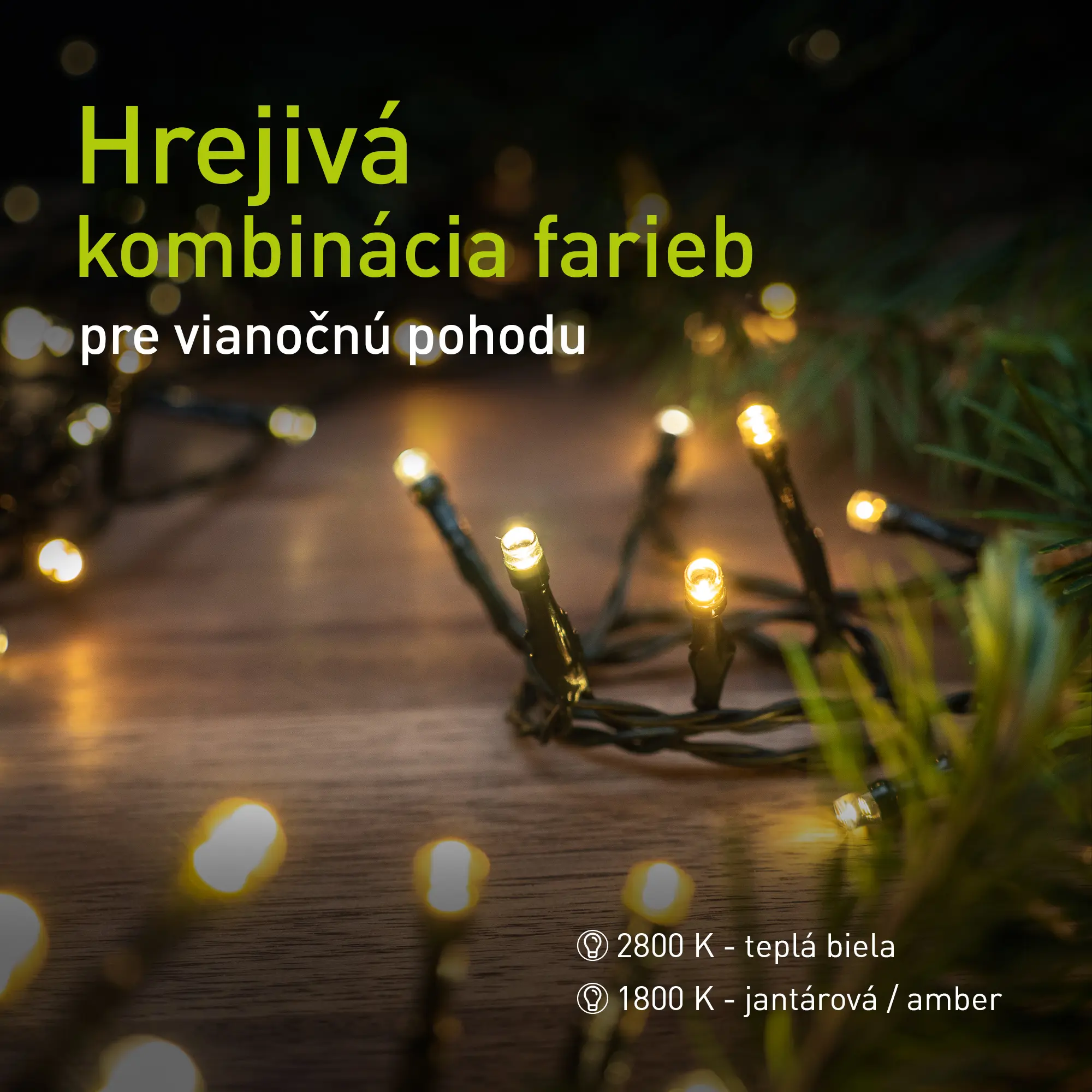 Detail rozsvietených žiaroviek svetelnej reťaze pri ihličí.
