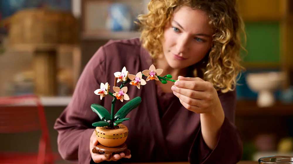Žena drž&iacute; v ruce LEGO&reg; Botanicals 10343 Miniaturn&iacute; orchidej_02