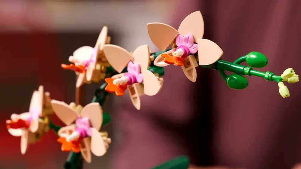 Detail květů stavebnice LEGO&reg; Botanicals 10343 Miniaturn&iacute; orchidej_03