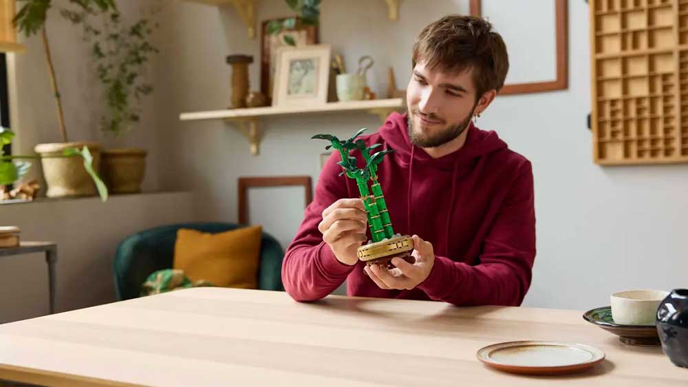 Muž drží v ruce LEGO® Botanicals 10344 Bambus štěstí_02