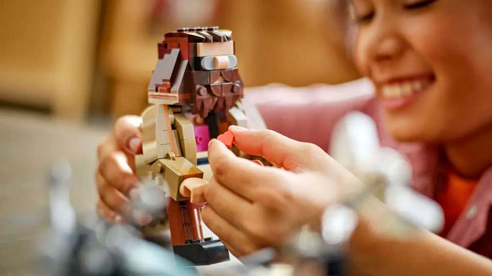 Dívka si hraje se stavebnicí LEGO® Harry Potter™ 76443 Hagrid™ a Harry na motorce s postavou Hagrida_04