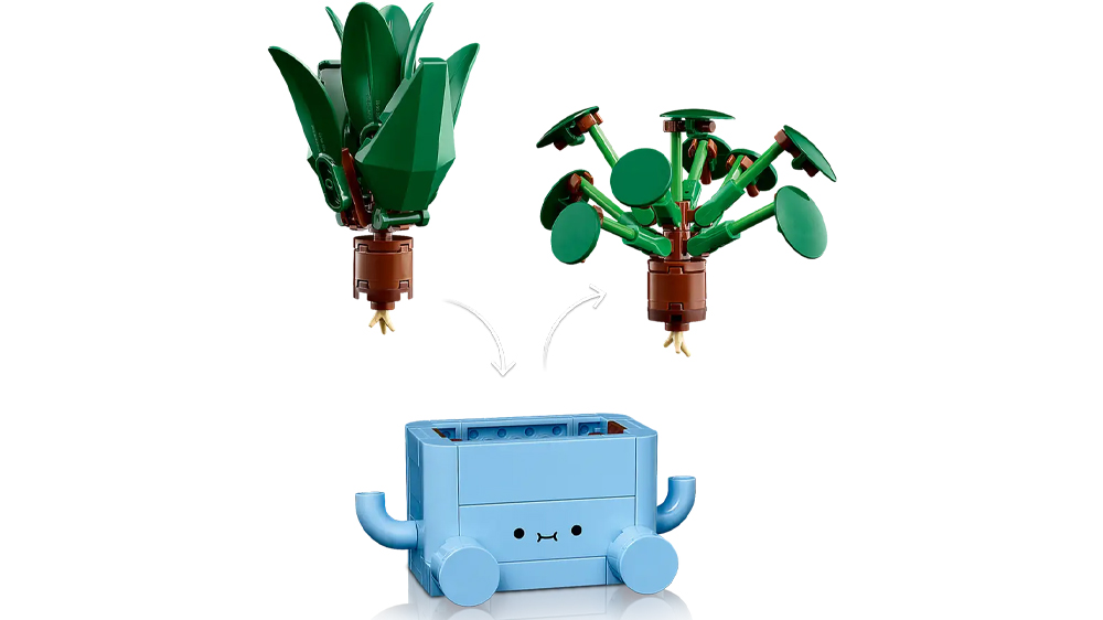 Znázornění vkládání rostlinek dračince a piley do květináče_02