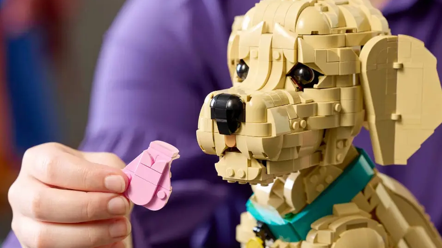 Ženská ruka drží nasadzovací jazyk pri šteniatku zlatého retrievera zo stavebnice LEGO® Icons (11384).