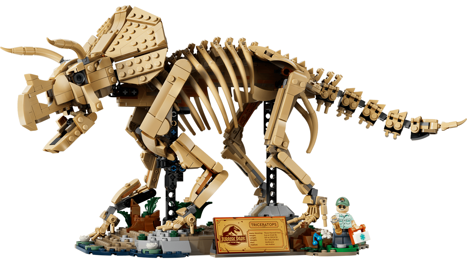 Stavebnice LEGO® Jurassic World™ 77985 Dinosauří fosilie: Triceratops