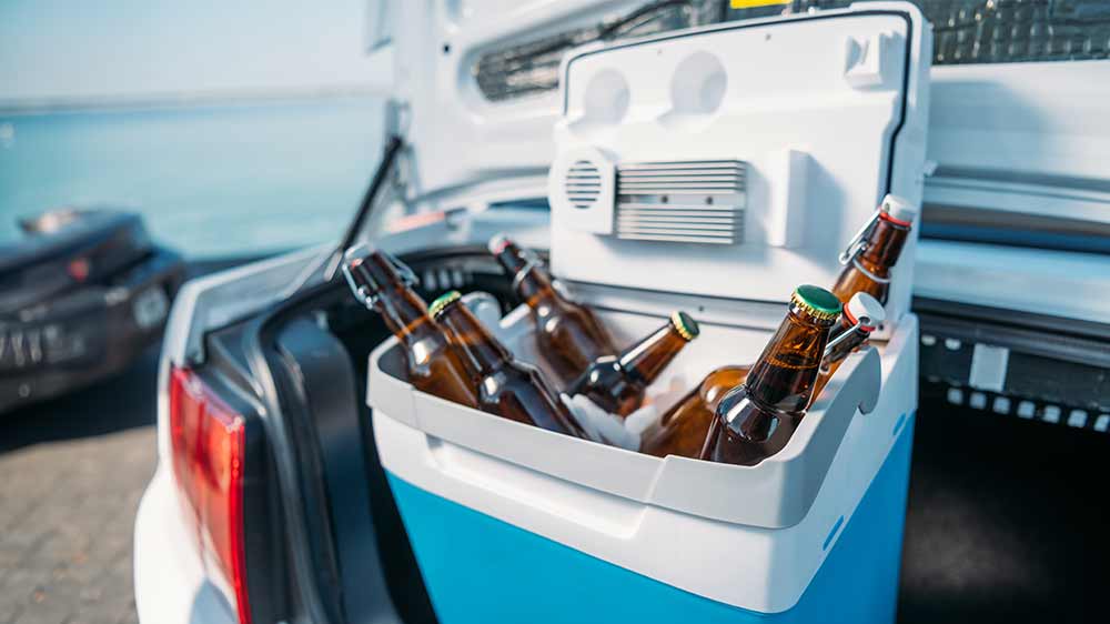 Otevřen&aacute; autochladnička v kufru auta_03