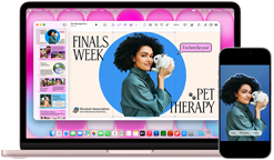 MacBook Neo v rumencovej farbe vedľa iPhonu, na obrazovke MacBooku Neo je prezentácia s názvom Skúškový týždeň a Zvieratková terapia s fotkou človeka, ktorý drží králika, na displeji iPhonu je tá istá fotka, z ktorej bola vytvorená nálepka, aby sa dala použiť v prezentácii