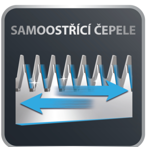 Groupe_SEB-87502554-w300cropfalset2021-04-16T180440